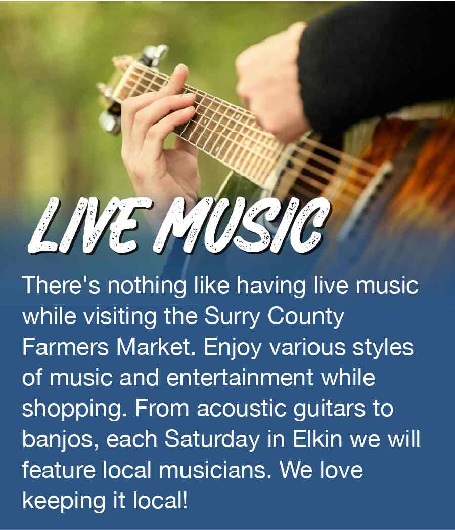 Elkin live music at the market