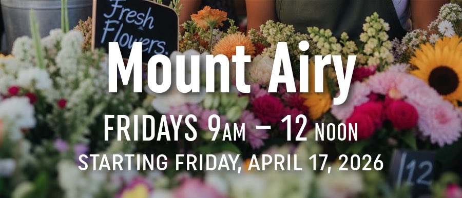 Mount Airy farmers market