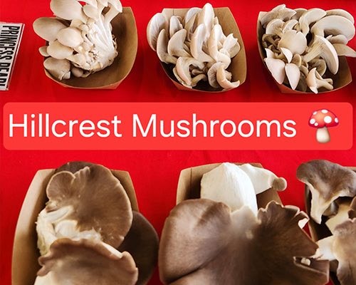 Hillcrest Mushrooms